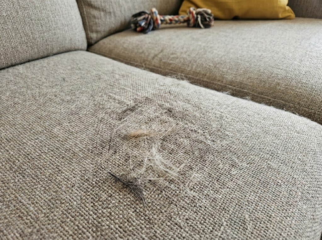 Sofá com pelos de animal