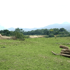 ProCut Elite - Motosserra Elétrica Sem Fios