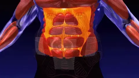 Tecnologia do tecido CoreFit Pro