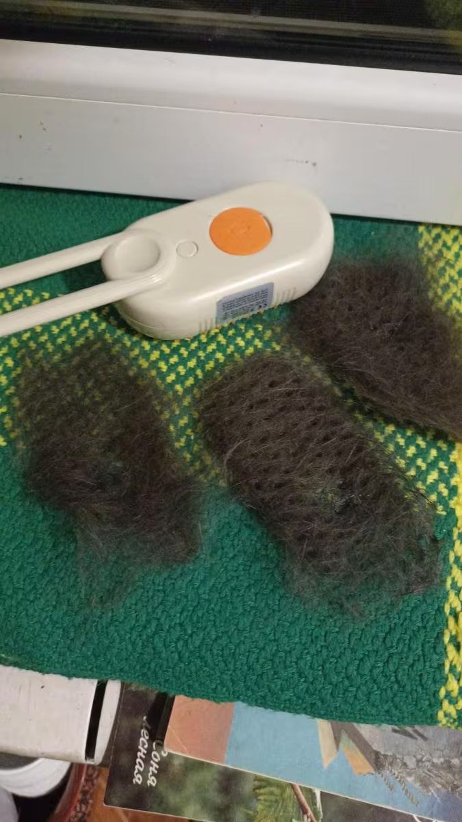 Foto de resena - Carmen con su gata persa