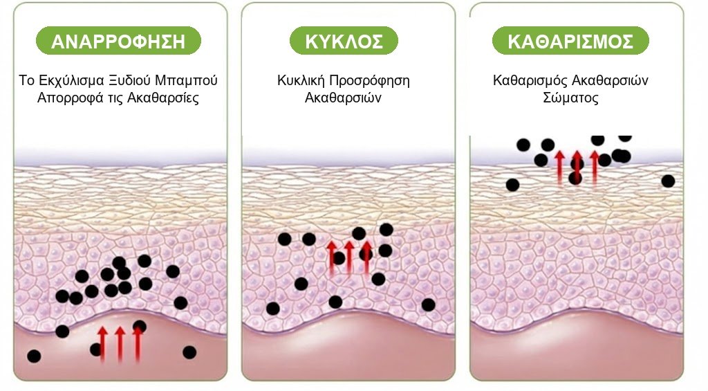 Ινφογράφημα δράσης του επιθέματος DetoxPes