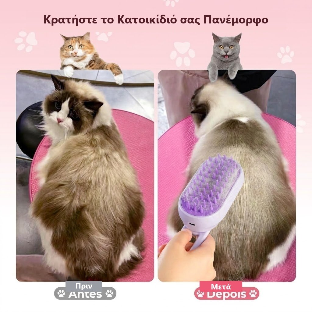 Καναπές καλυμμένος με τρίχες κατοικιδίου